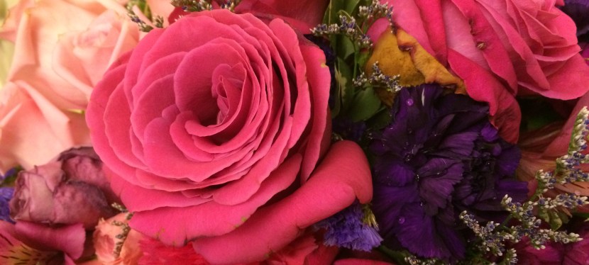 Contacts and Resources